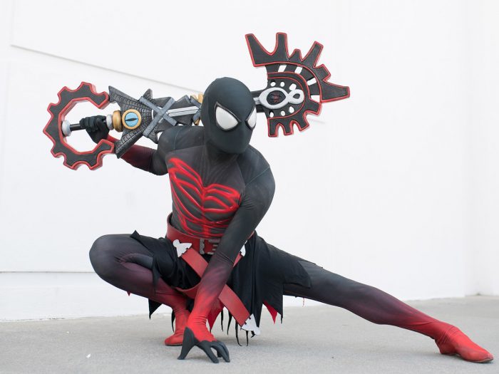 DSC_5367 SpiMan+ copy